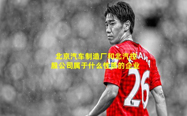 北京汽车制造厂和北汽控股公司属于什么性质的企业
