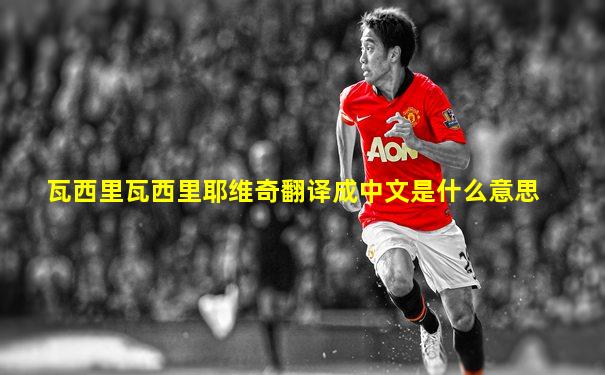 瓦西里瓦西里耶维奇翻译成中文是什么意思