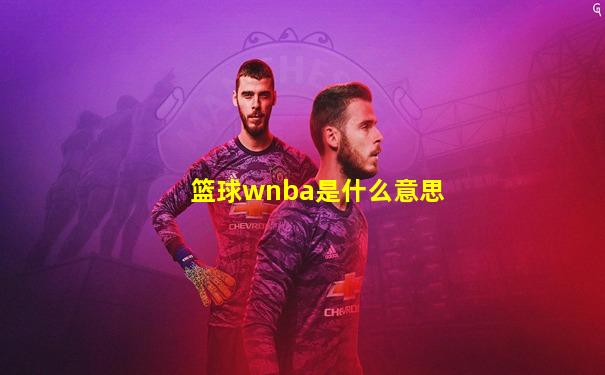 篮球wnba是什么意思