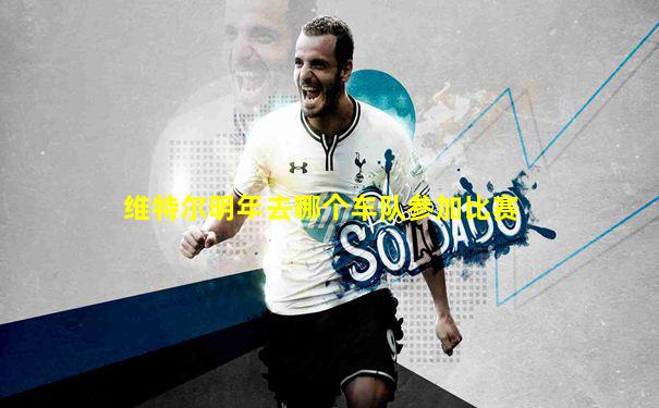 维特尔明年去哪个车队参加比赛