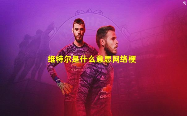 维特尔是什么意思网络梗