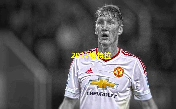 2022维特拉