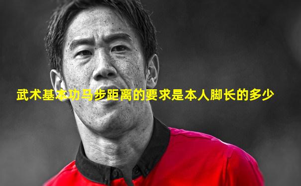 武术基本功马步距离的要求是本人脚长的多少